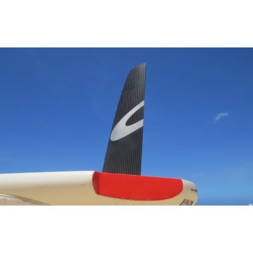Slalom Race Carbone